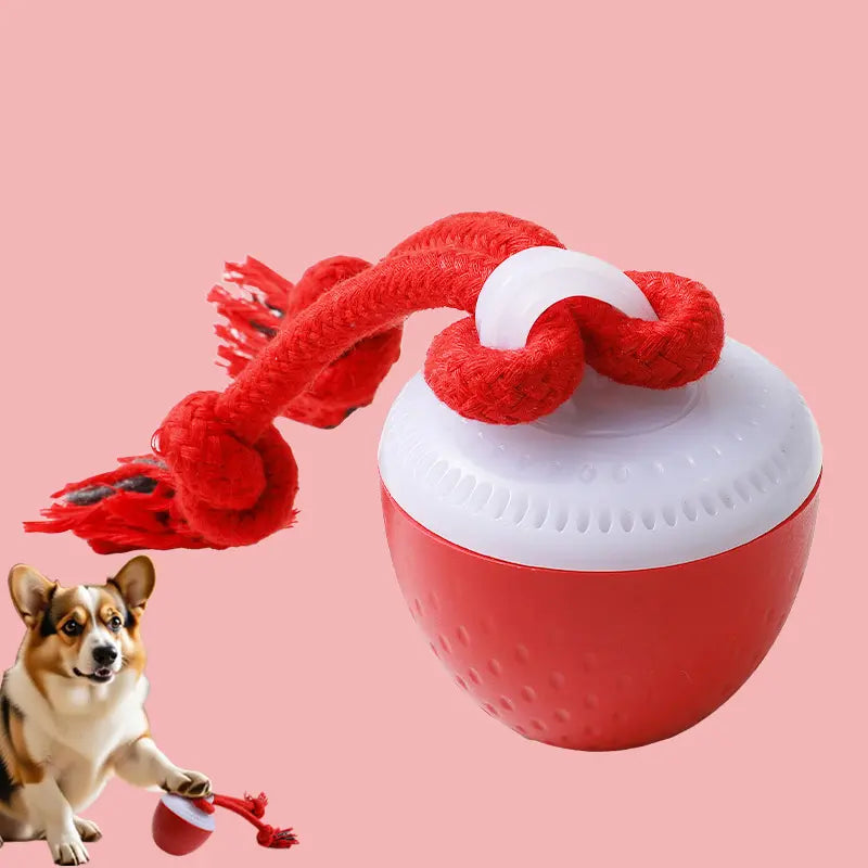 Durable Electric Chew Dog Ball with Teeth Grinding Sound for Boredom Relief