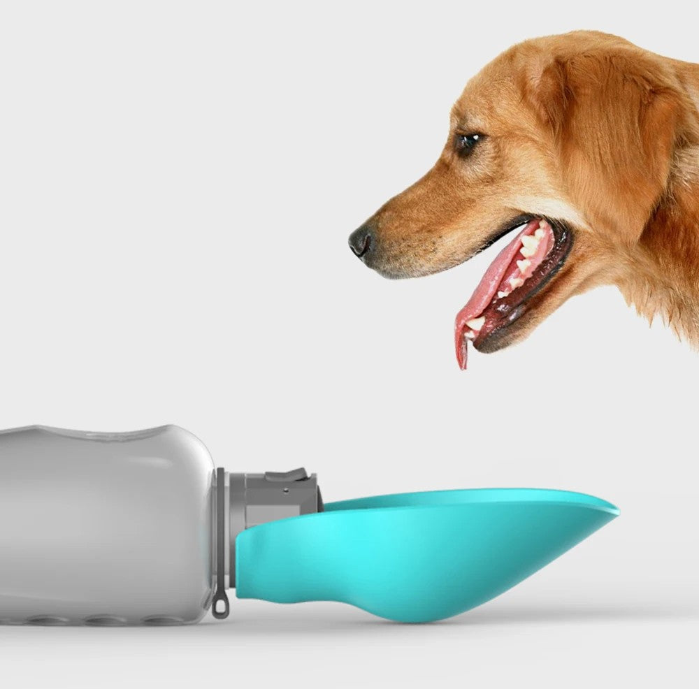 Petalia AquaGo™ | Botella Portátil para Perros con Bebedero Integrado