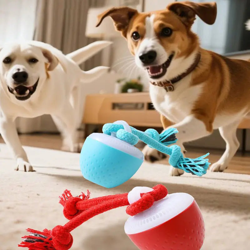 Durable Electric Chew Dog Ball with Teeth Grinding Sound for Boredom Relief
