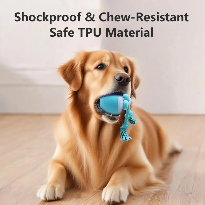 Durable Electric Chew Dog Ball with Teeth Grinding Sound for Boredom Relief