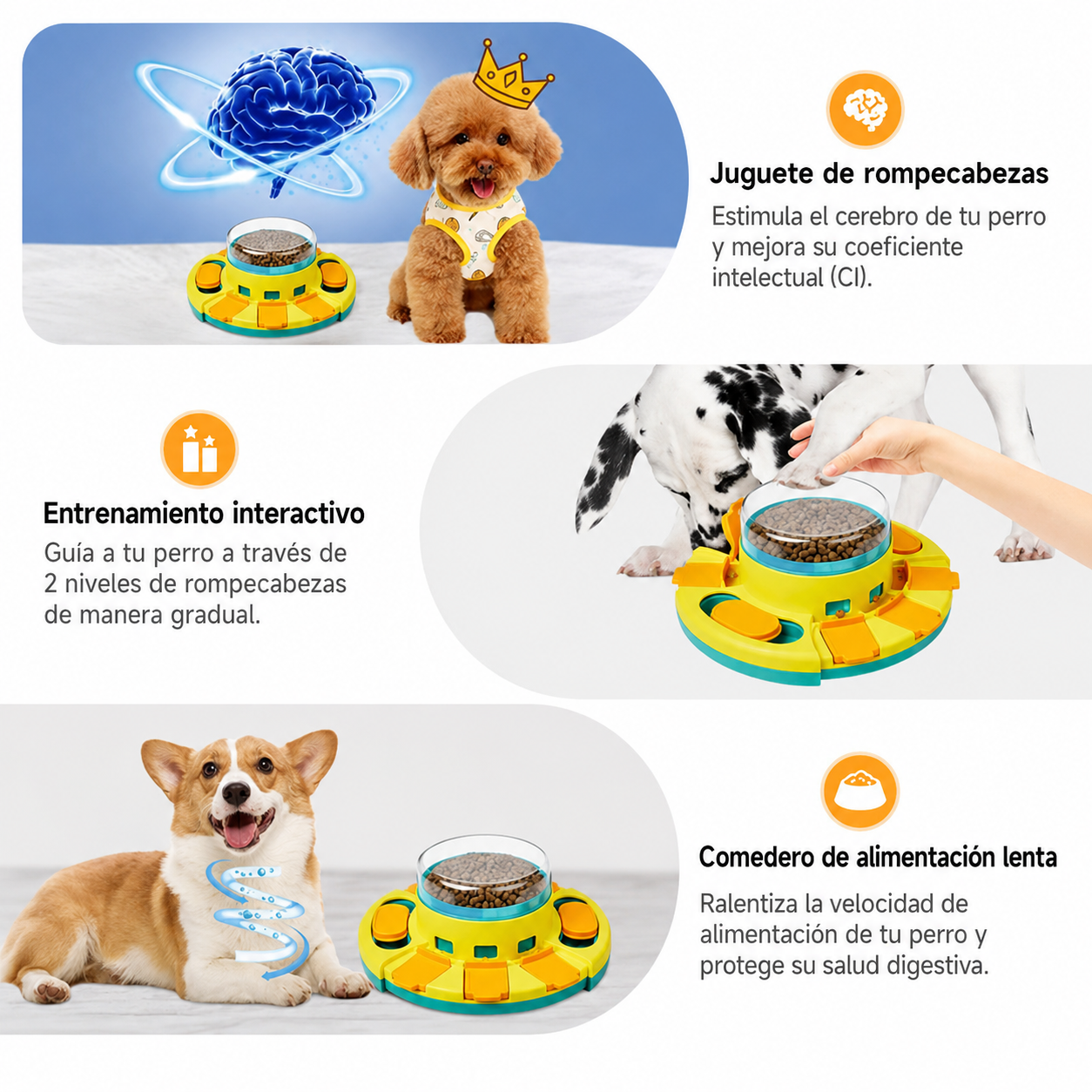 Petalia PlayBall | Juguete Interactivo para Perros 2 en 1